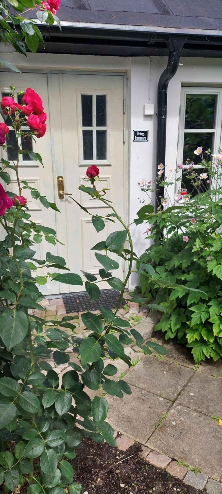 Bjerred B&B Bjärred Zewnętrze zdjęcie