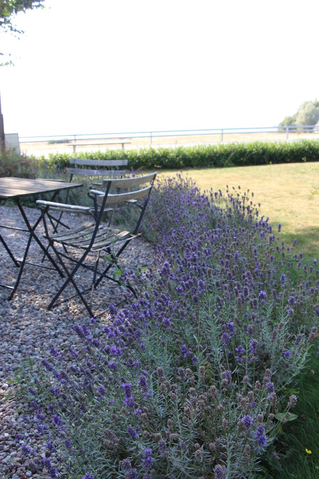 Bjerred B&B Bjärred Zewnętrze zdjęcie