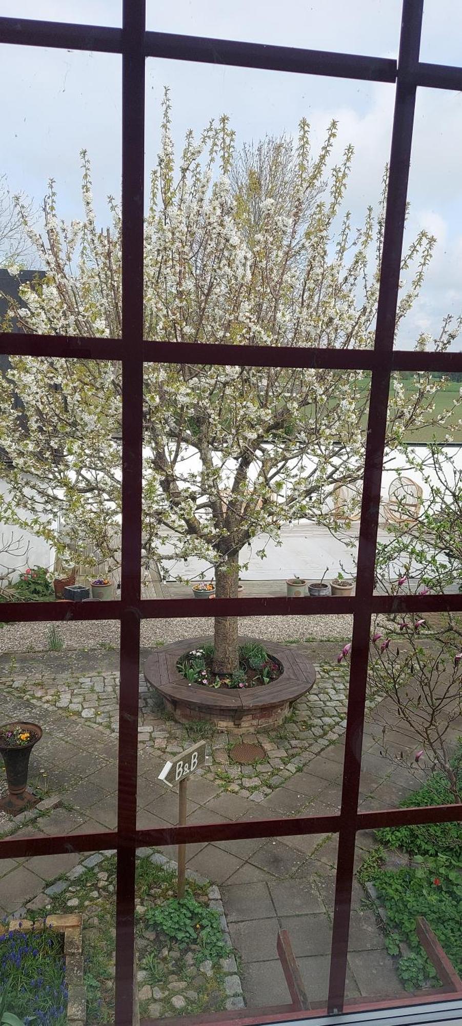 Bjerred B&B Bjärred Zewnętrze zdjęcie