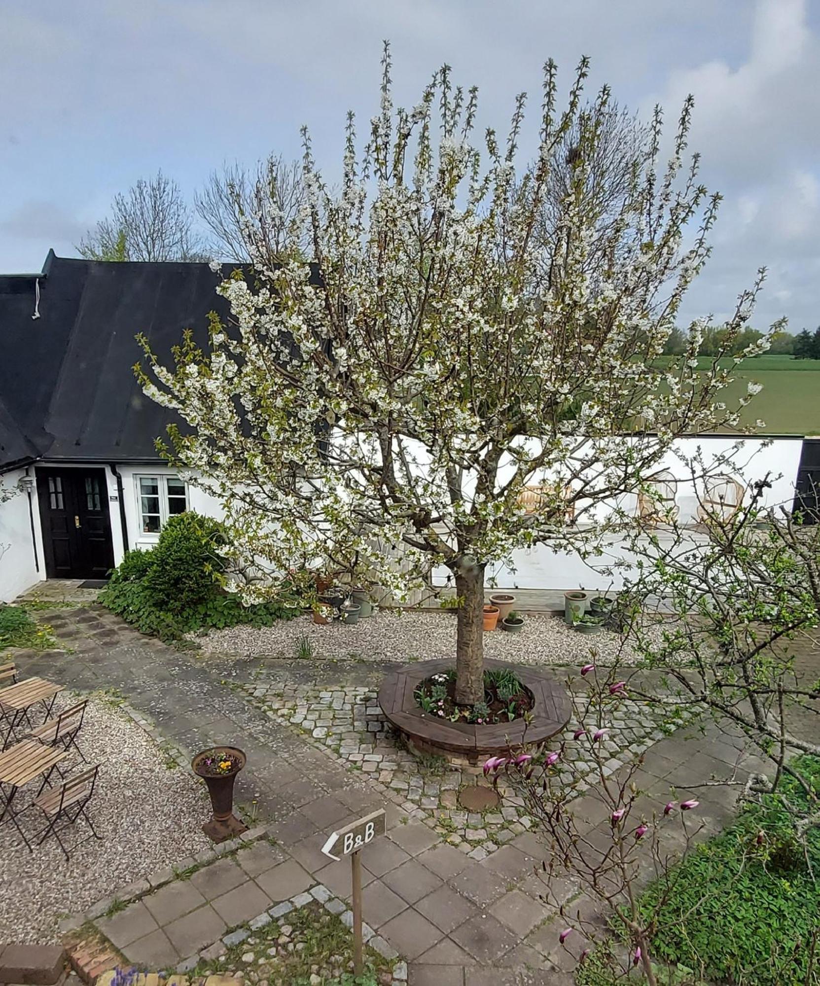 Bjerred B&B Bjärred Zewnętrze zdjęcie